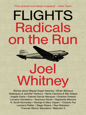 cover image of Flights